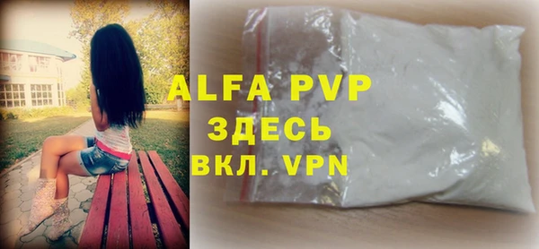 СК Алексин