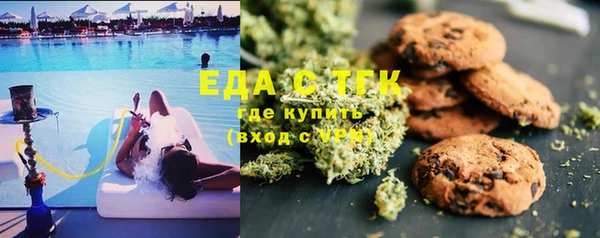 СК Алексин