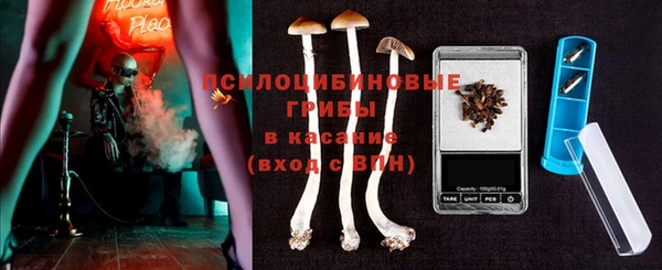 а пвп мука Алзамай