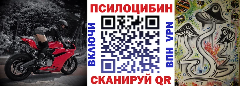 цены наркотик  Всеволожск  Галлюциногенные грибы Cubensis 