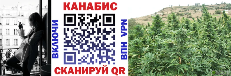 Конопля индика  Всеволожск 